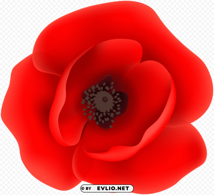 PNG image of poppy flower HighQuality Transparent PNG Isolation with a clear background - Image ID c65e9ae2