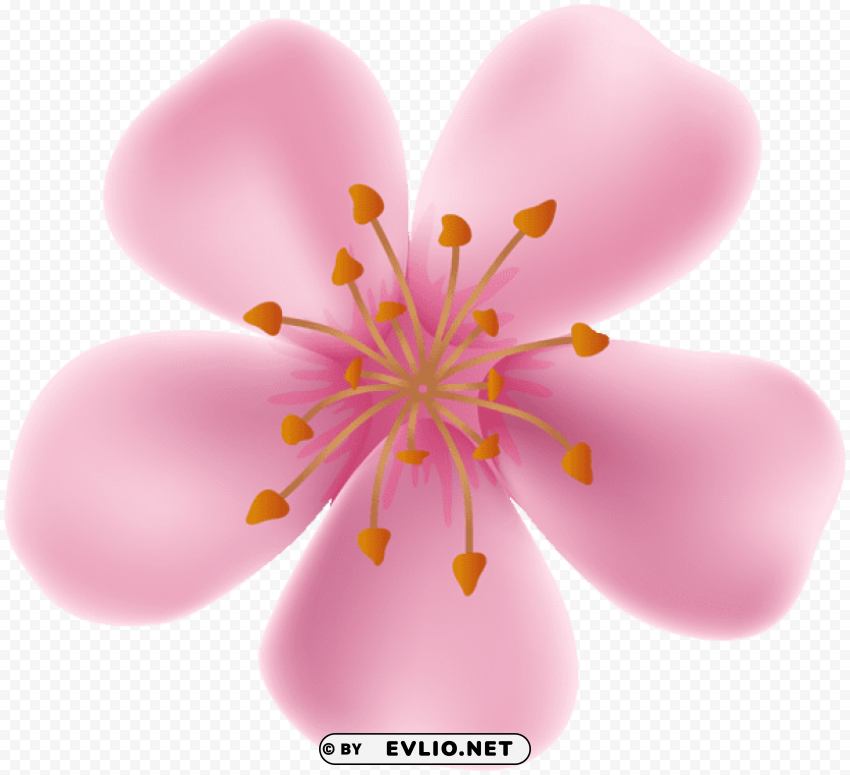 spring blooming flower PNG pics with alpha channel