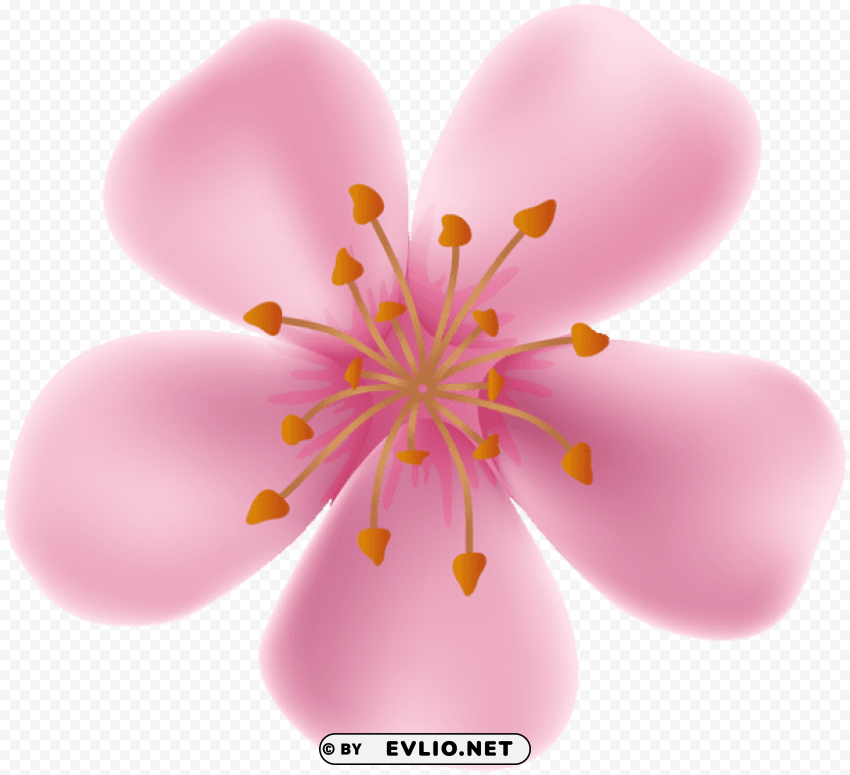 Spring Blooming Flower PNG Pics With Alpha Channel