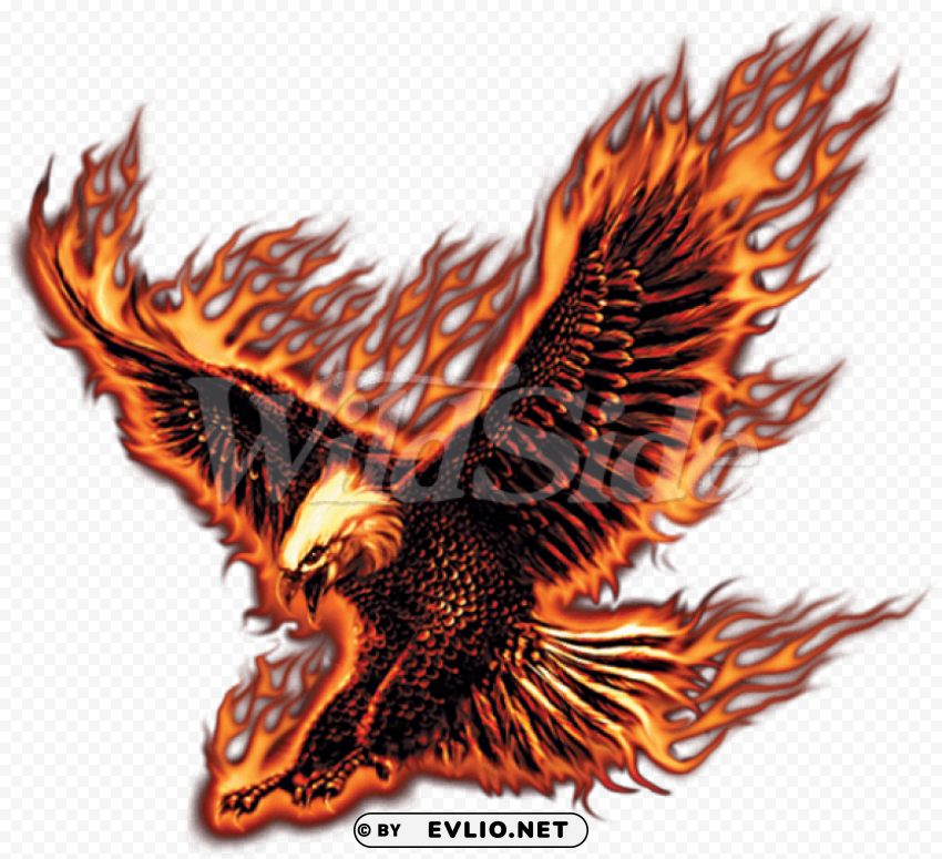 transparent fire eagle Free PNG