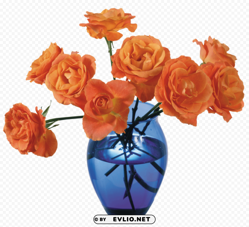 vase Transparent PNG Isolated Graphic Detail