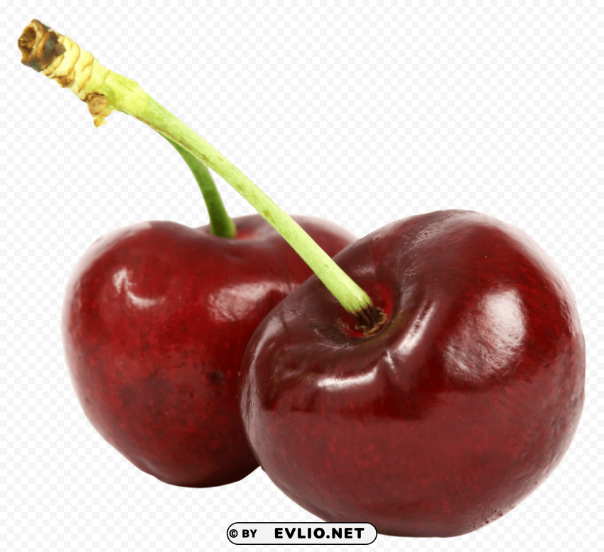 Cherry Isolated Graphic on HighQuality PNG