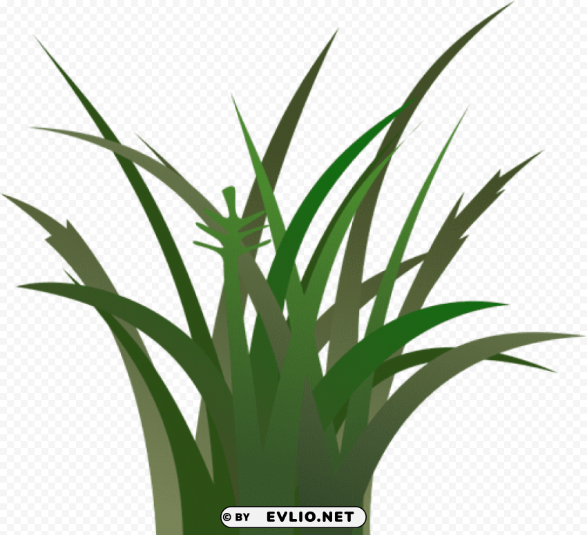 Grass Isolated Character In Clear Background PNG