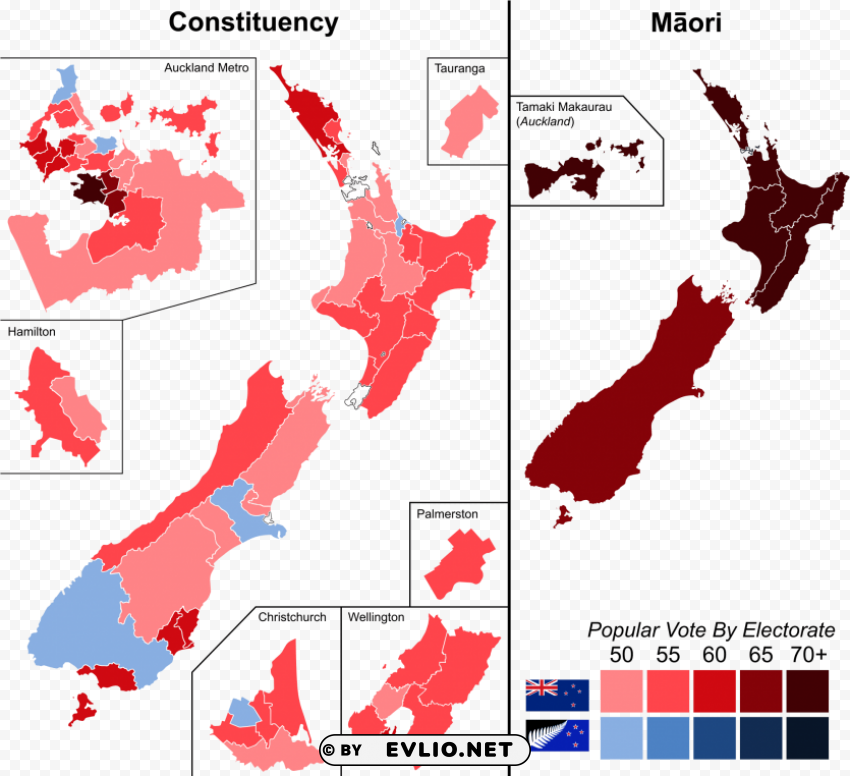 new zealand election 1995 PNG with no background required