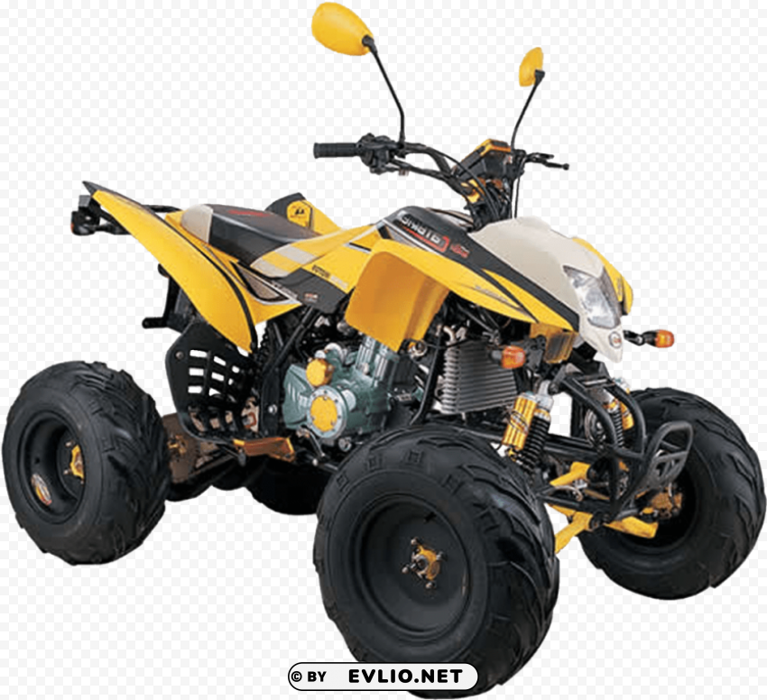 rider quad bike 200cc Isolated Character on Transparent Background PNG