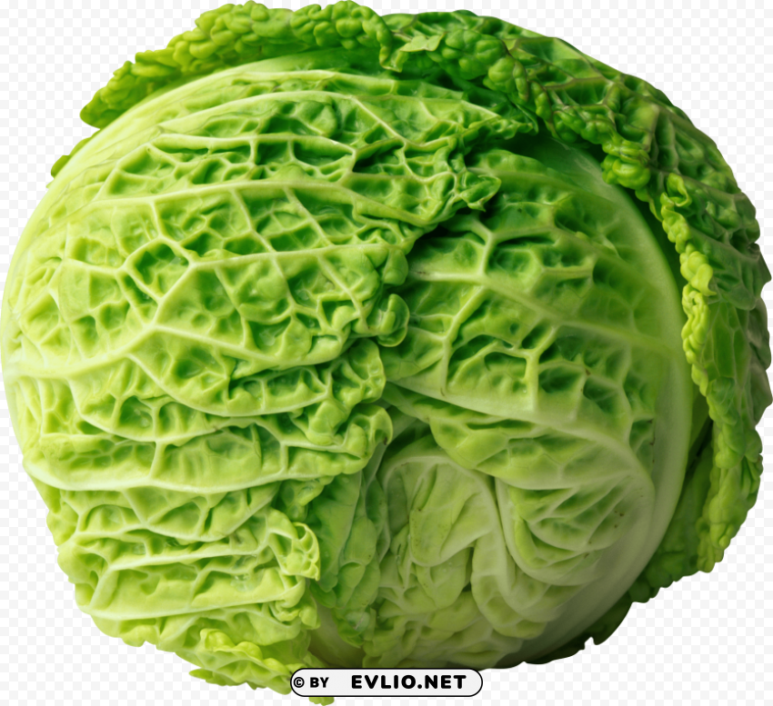 cabbage Clear PNG file