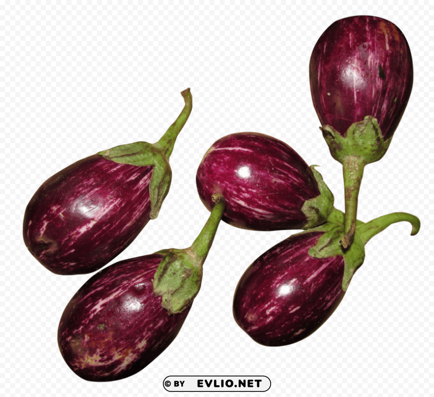 fresh brinjal PNG Graphic with Isolated Clarity