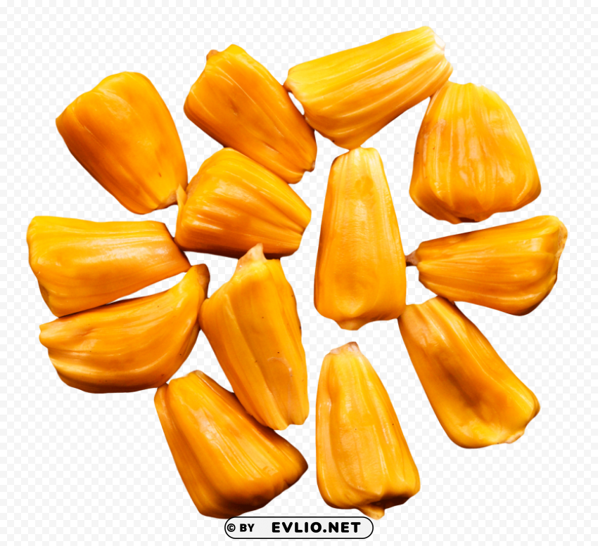 Jackfruit Flesh PNG files with no backdrop pack