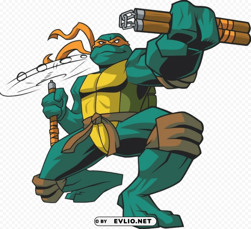 ninja tutle michelangelo- Isolated Item with HighResolution Transparent PNG