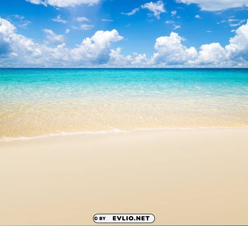 summer beach Isolated Artwork on Clear Background PNG