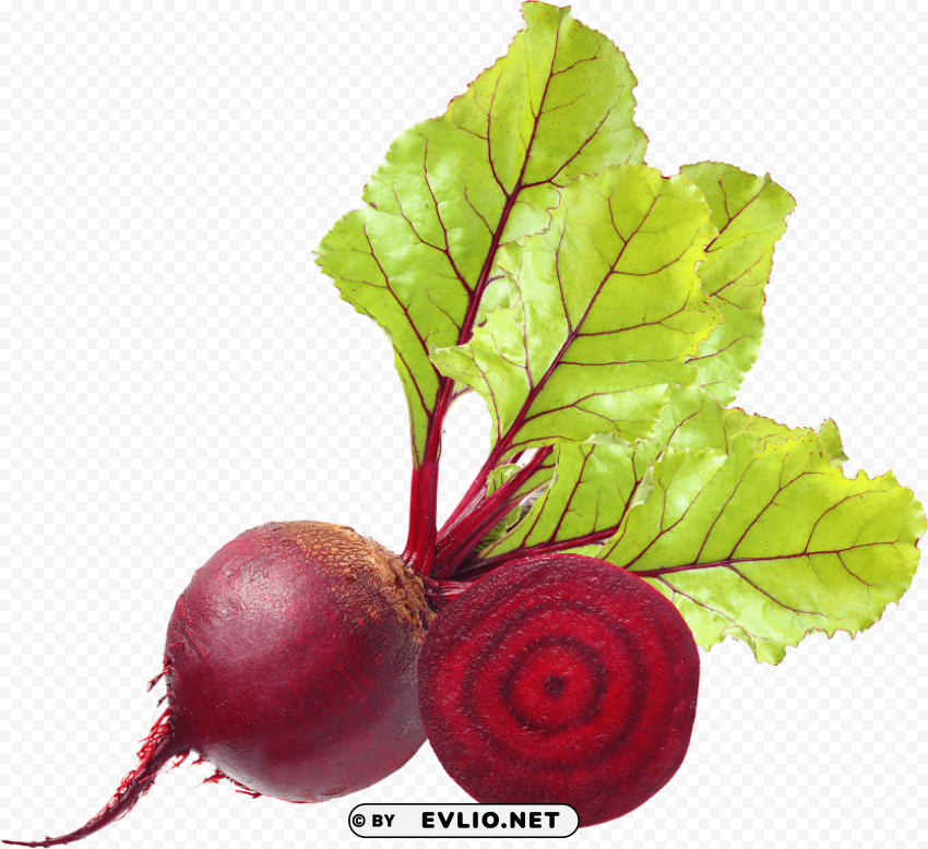 beet Isolated Character in Transparent Background PNG