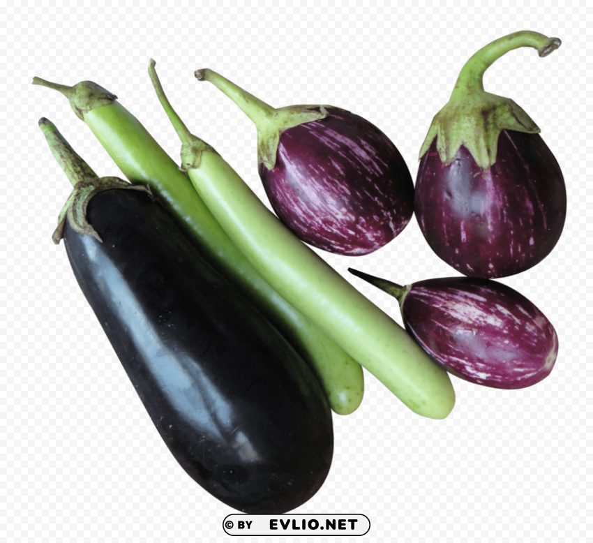 brinjal eggplant PNG Graphic Isolated on Clear Background Detail
