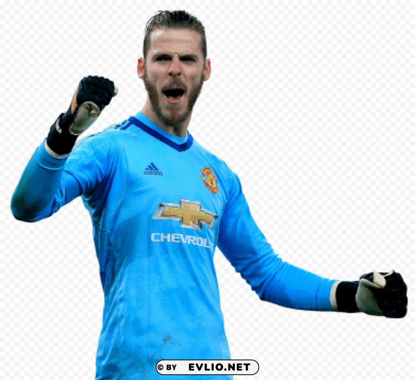 david de gea PNG images with alpha transparency wide selection