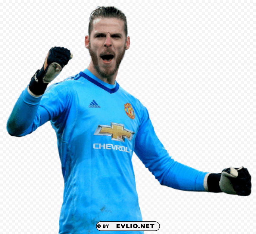 David De Gea PNG Images With Alpha Transparency Wide Selection