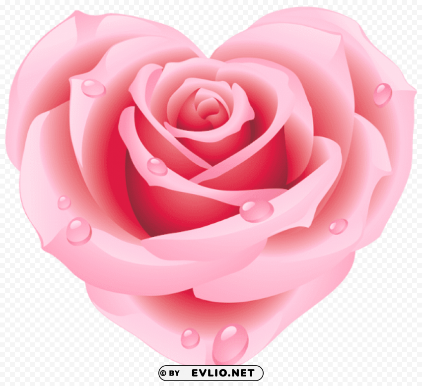 large pink rose heart No-background PNGs