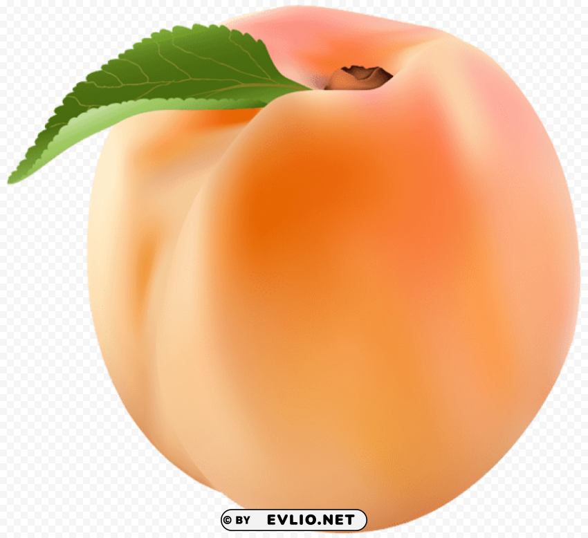peach Transparent Background PNG Isolated Art