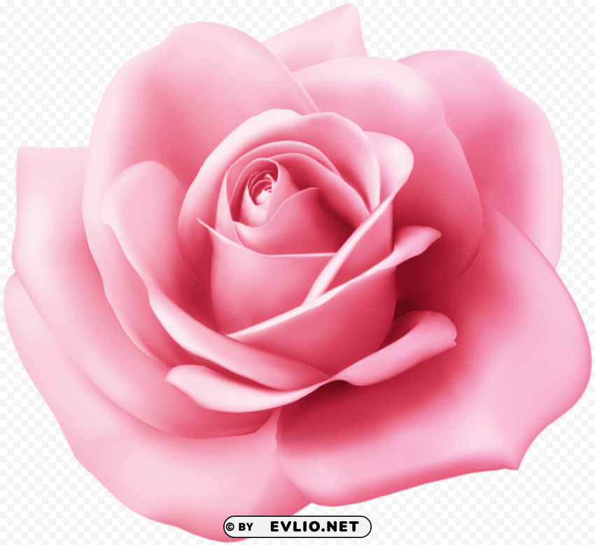 PNG image of pink rose transparent PNG with Isolated Transparency with a clear background - Image ID ea650f3b