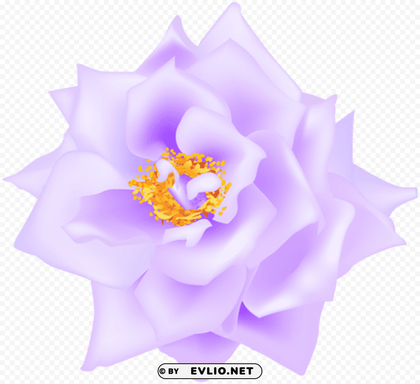 purple rose PNG with transparent background for free