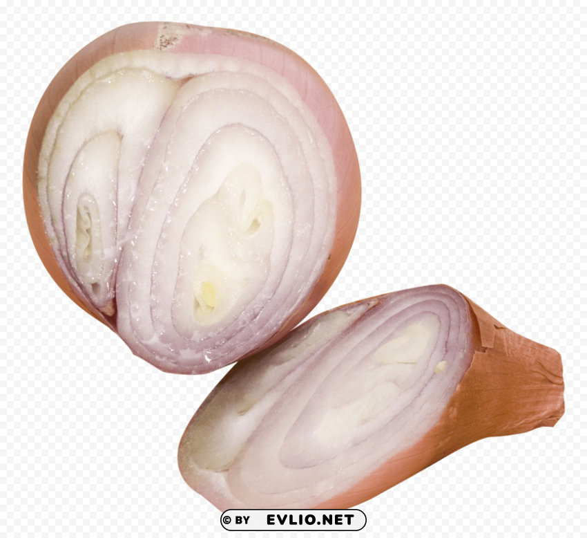 sliced shallots PNG graphics for presentations