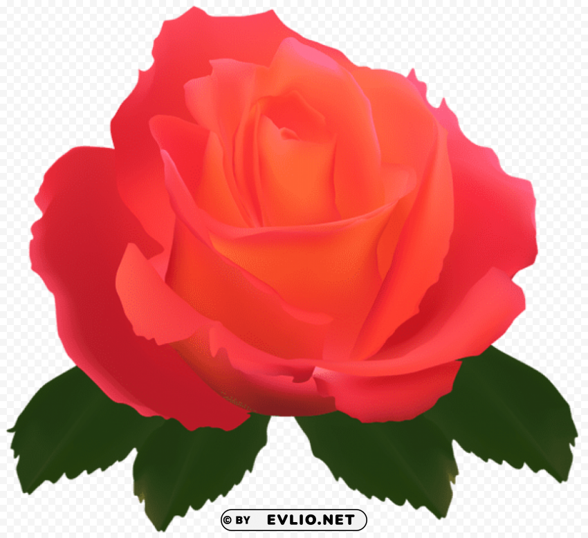 PNG image of transparent rose PNG Graphic with Isolated Design with a clear background - Image ID 18bd8c46