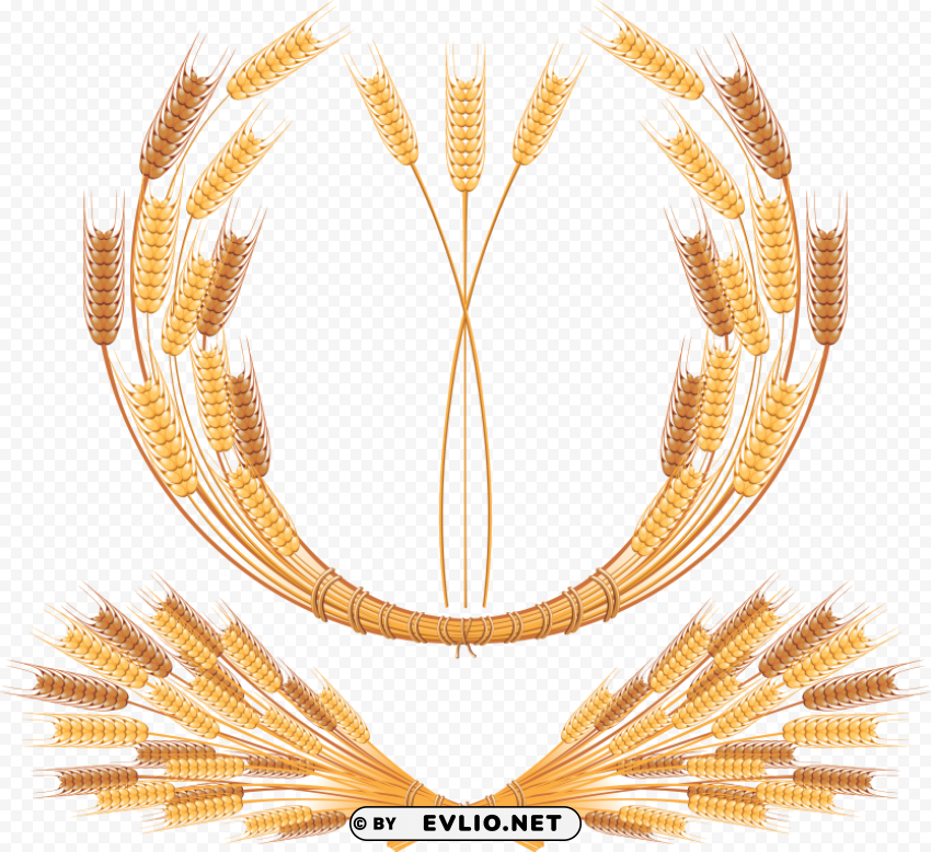 Wheat PNG Illustration Isolated on Transparent Backdrop