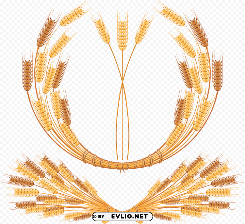 PNG image of Wheat PNG Illustration Isolated on Transparent Backdrop with a clear background - Image ID 244fbc5d