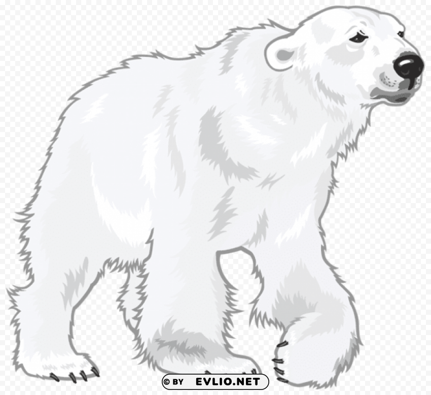 white bear PNG files with clear backdrop assortment