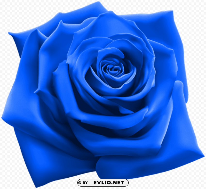 PNG image of blue rose Transparent PNG picture with a clear background - Image ID 30feaea8