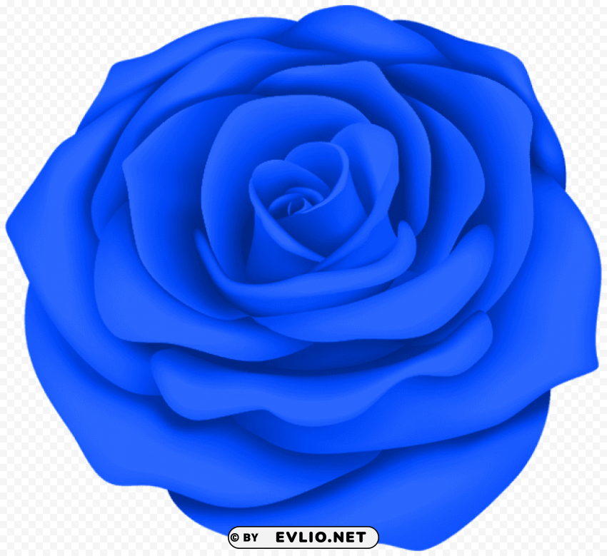 blue rose flower Transparent PNG images for design