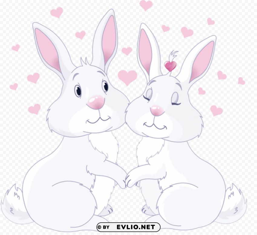 cute bunnies in lovepicture Isolated Object on Transparent Background in PNG