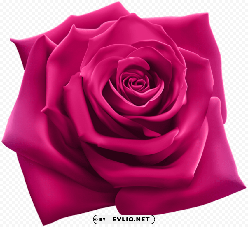 PNG image of pink rose Transparent PNG Isolated Object with a clear background - Image ID eced306e