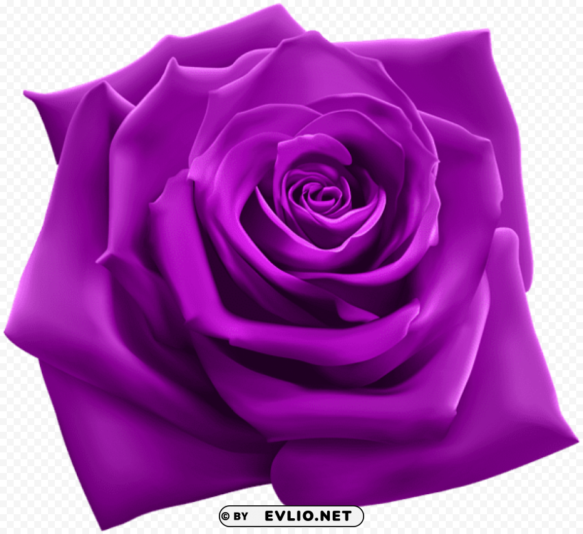 PNG image of purple rose Transparent PNG Object with Isolation with a clear background - Image ID 8c251e5b