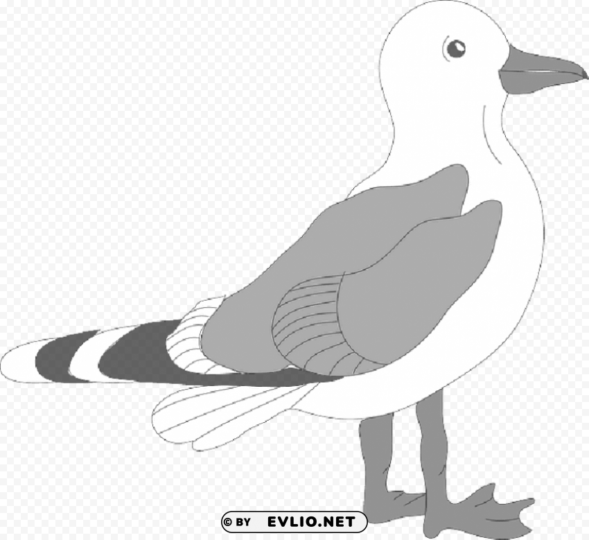 seagull template PNG images for personal projects