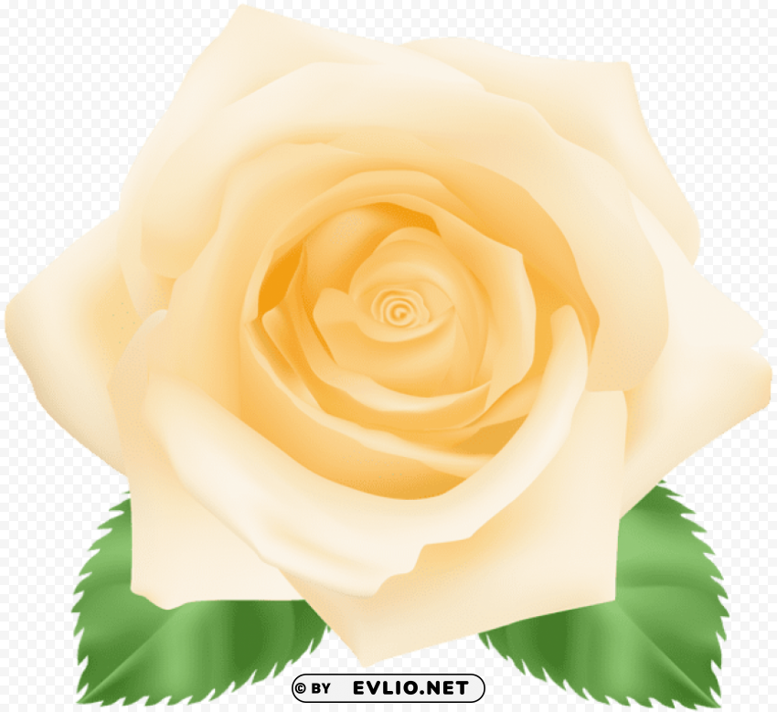 Yellow Rose PNG Images With No Background Essential