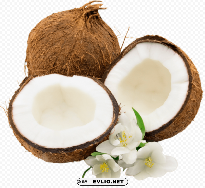 coconuts Isolated Item with Clear Background PNG