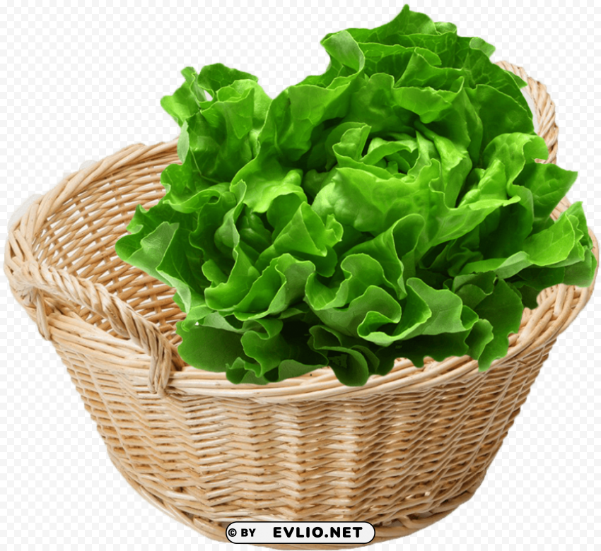 vegetable cruelty meme Transparent picture PNG