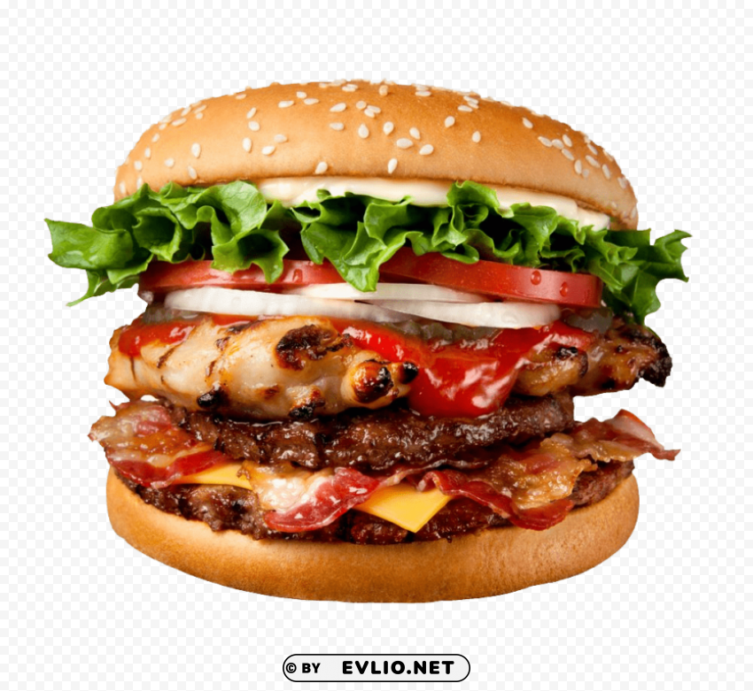 fast food burger Transparent PNG images complete library