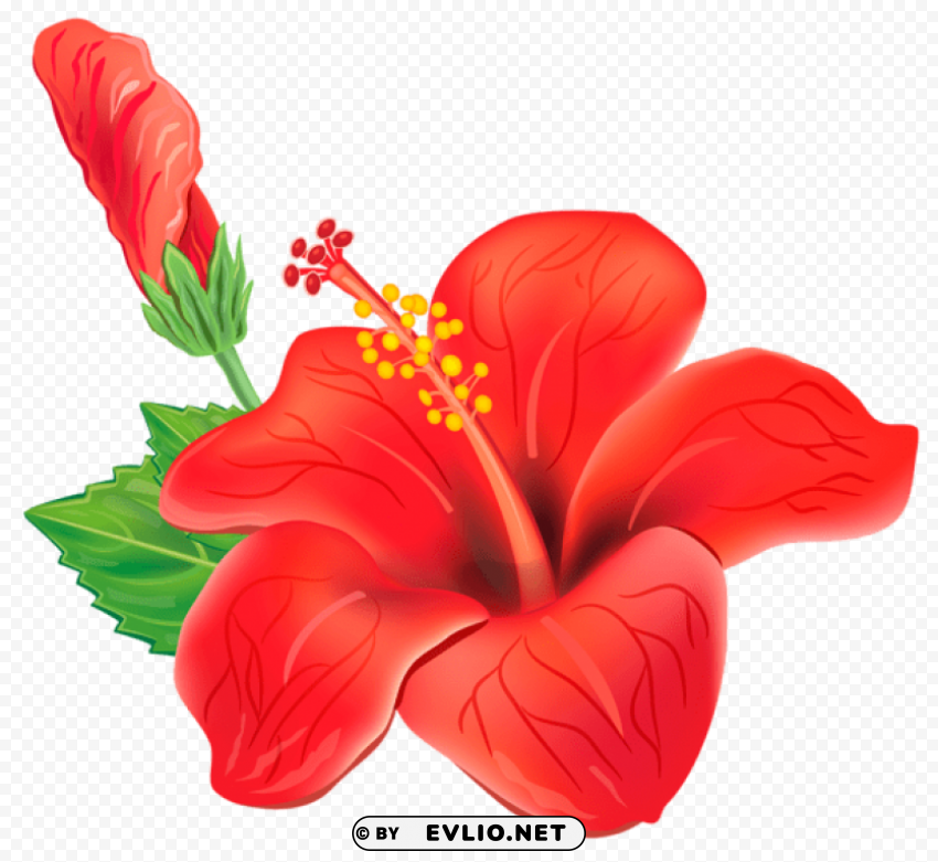 red exotic flowerpicture Clear PNG graphics free