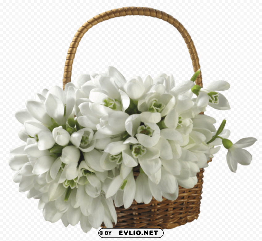 Basket With Spring Snowdrops Transparent Design PNG