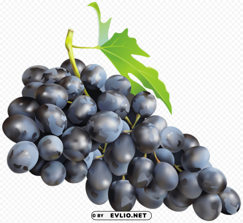 black grapes PNG Image with Transparent Isolated Design