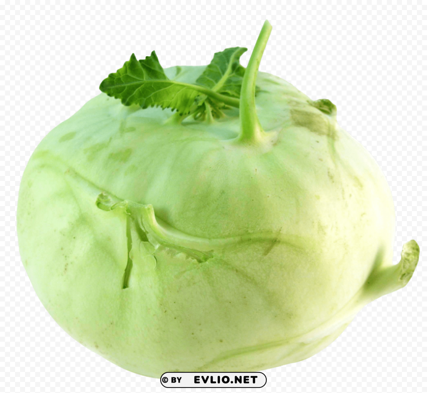 kohlrabi PNG Graphic with Transparent Background Isolation PNG images with transparent backgrounds - Image ID 25450b1a