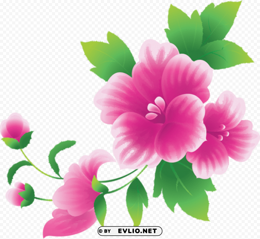 large pink flowers Transparent PNG images set