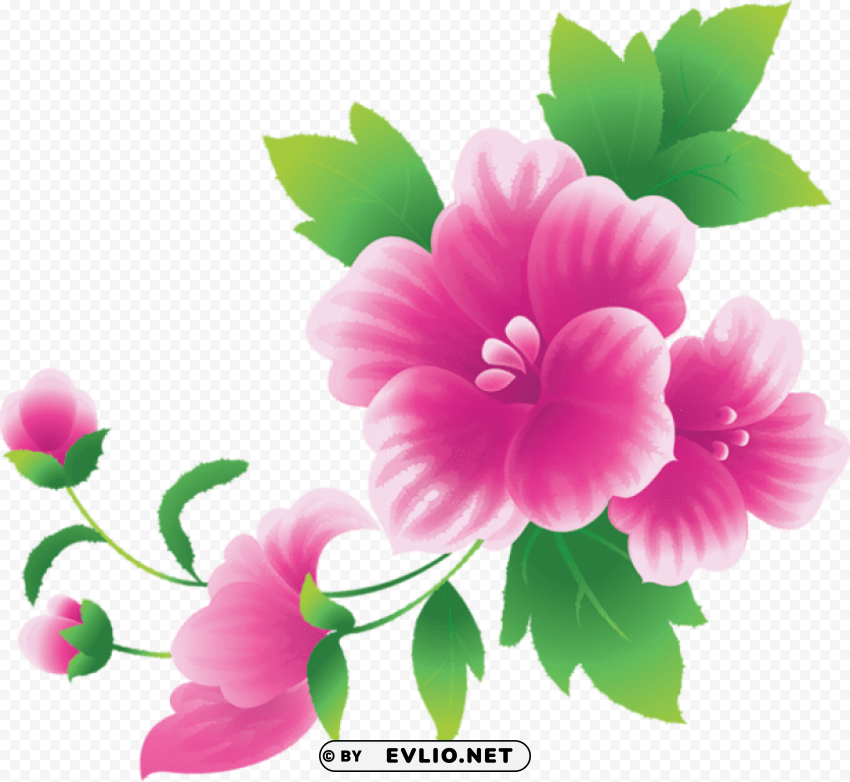 PNG image of large pink flowers Transparent PNG images set with a clear background - Image ID 2efaba6e