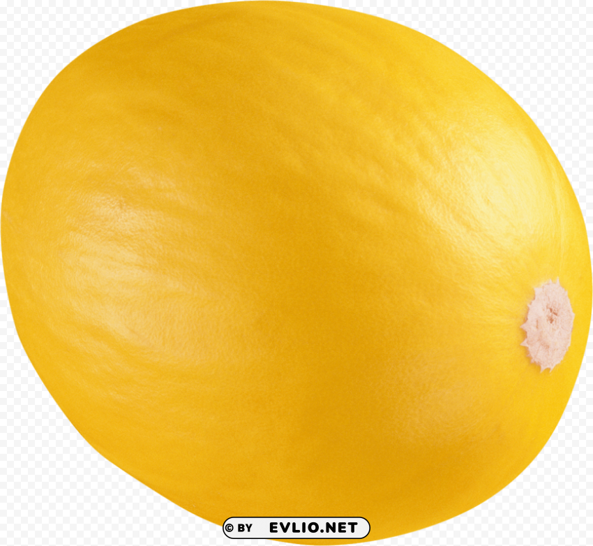 melon PNG with clear background extensive compilation