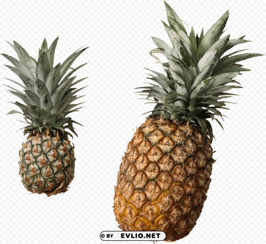 pinapples PNG transparent photos massive collection