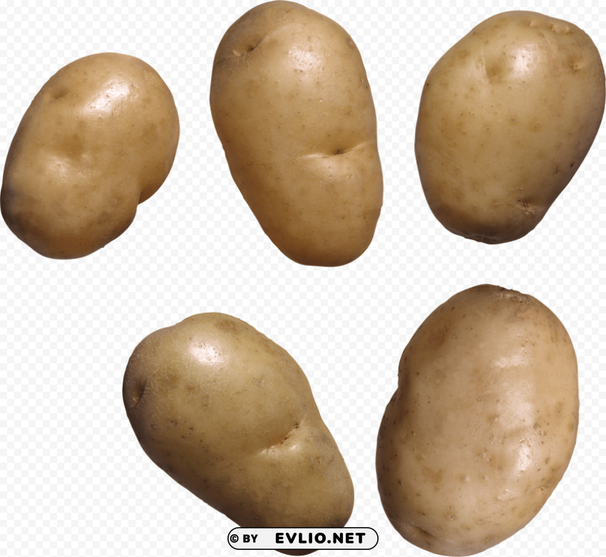 potato High-resolution transparent PNG files