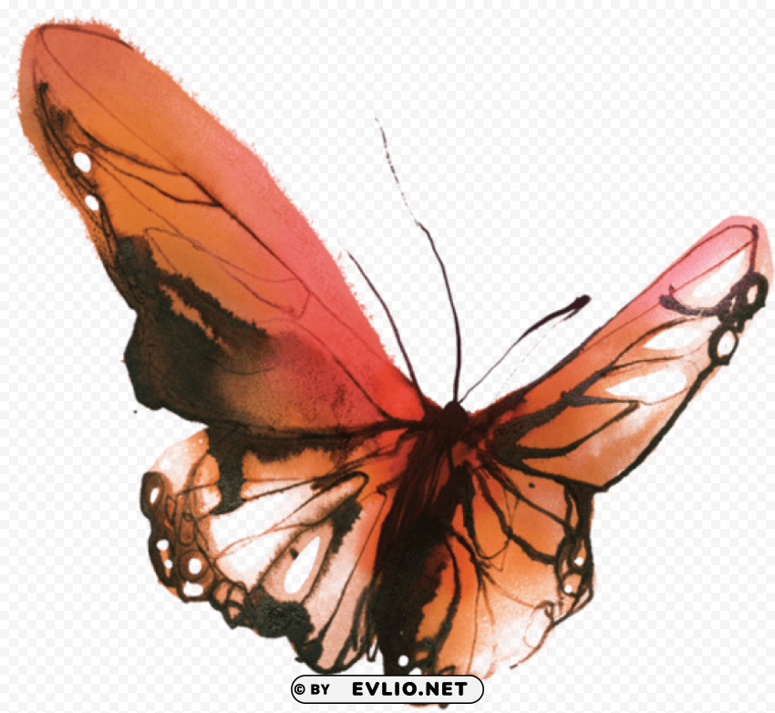 tattly temporary tattoos watercolor butterflies HighQuality Transparent PNG Isolated Element Detail