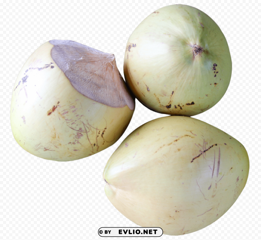 top view of coconut Transparent PNG Isolated Object with Detail
