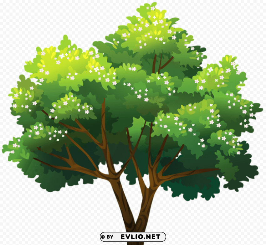 tree green png Transparent image