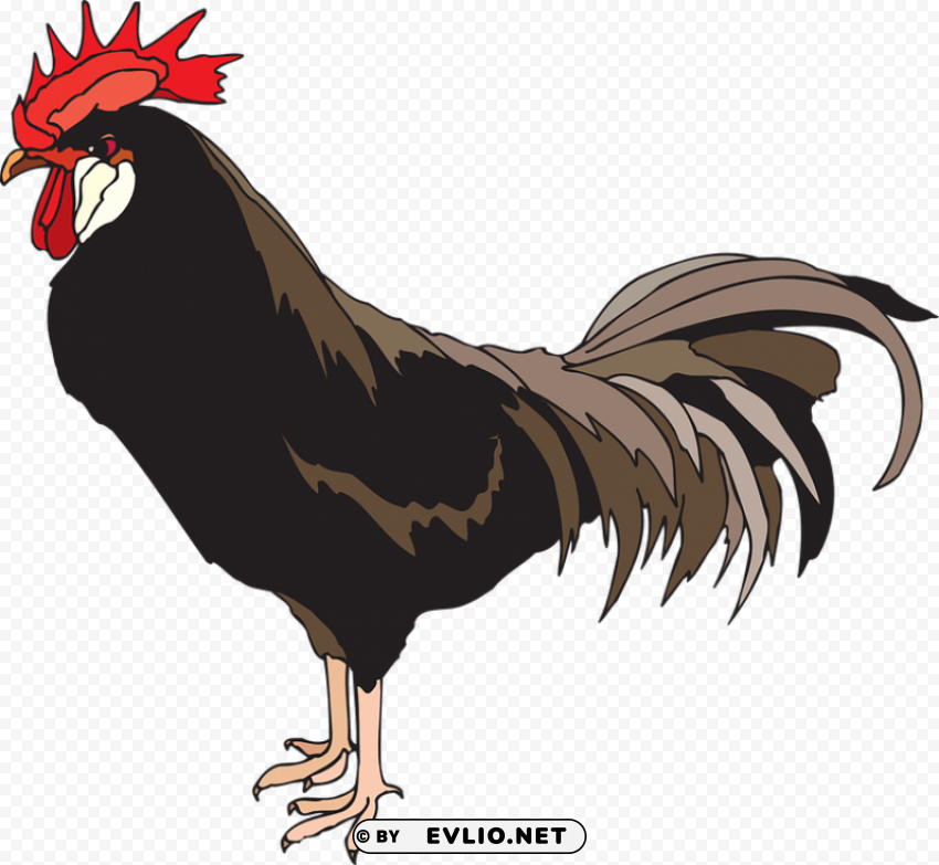 cock ClearCut Background Isolated PNG Art
